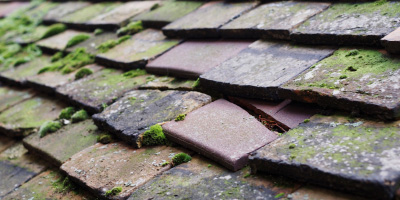 Bythorn roof repair costs